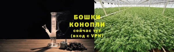 не бодяженный Заводоуковск
