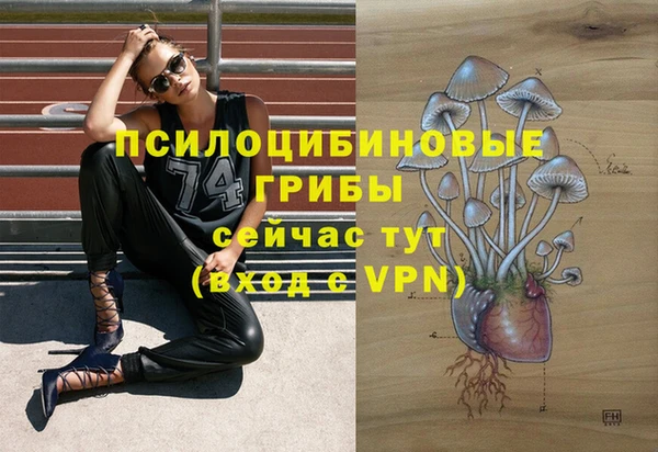 меф Заволжск