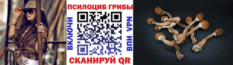 KRAKEN ссылка  Дальнегорск  Псилоцибиновые грибы Psilocybe 